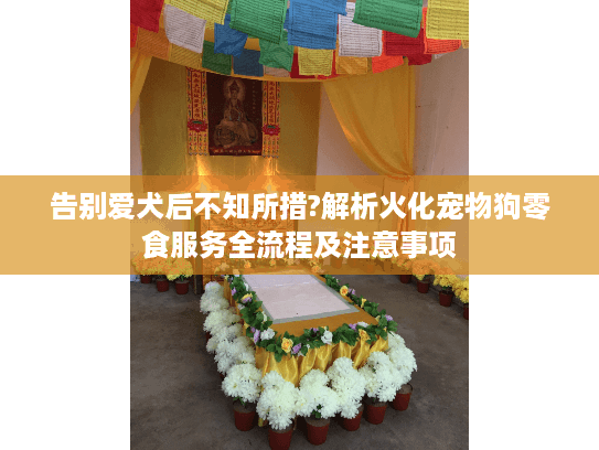 告别爱犬后不知所措?解析火化宠物狗零食服务全流程及注意事项