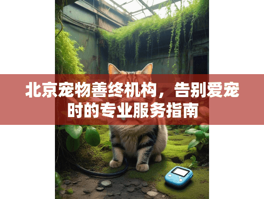 北京宠物善终机构，告别爱宠时的专业服务指南
