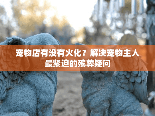 宠物店有没有火化？解决宠物主人最紧迫的殡葬疑问