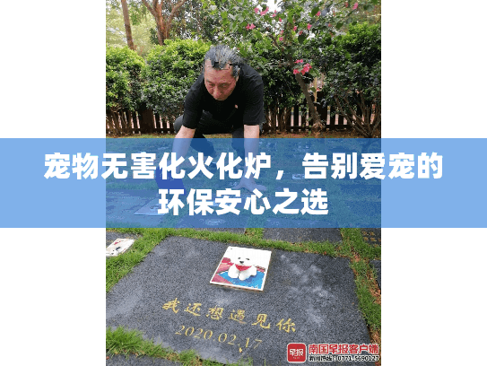 宠物无害化火化炉，告别爱宠的环保安心之选