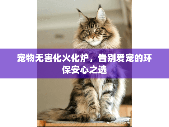 宠物无害化火化炉，告别爱宠的环保安心之选