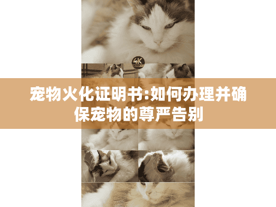 宠物火化证明书:如何办理并确保宠物的尊严告别