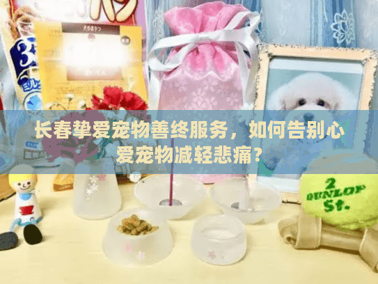 长春挚爱宠物善终服务，如何告别心爱宠物减轻悲痛？