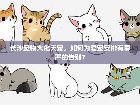 长沙宠物火化天宠，如何为爱宠安排有尊严的告别？