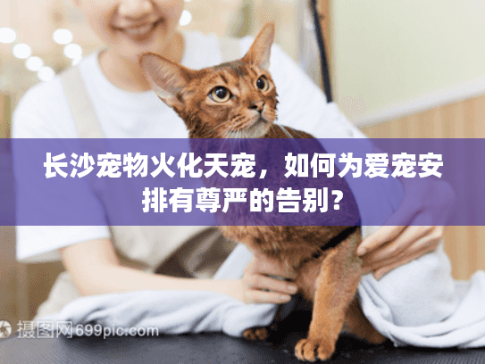 长沙宠物火化天宠，如何为爱宠安排有尊严的告别？