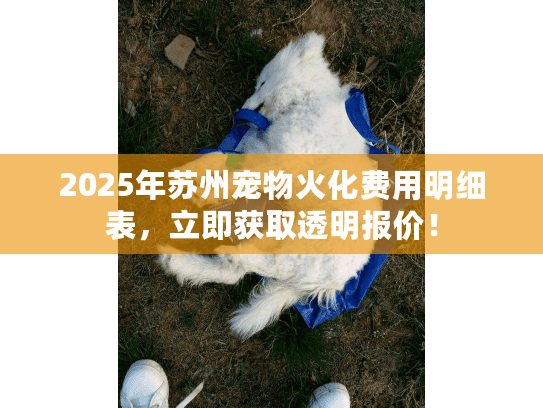 2025年苏州宠物火化费用明细表，立即获取透明报价！