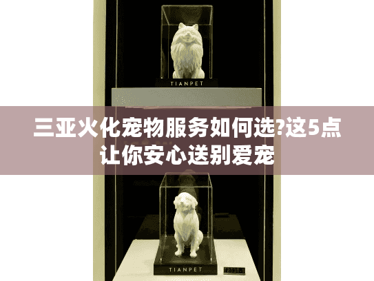 三亚火化宠物服务如何选?这5点让你安心送别爱宠