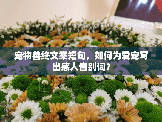 宠物善终文案短句，如何为爱宠写出感人告别词？
