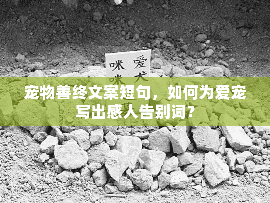 宠物善终文案短句，如何为爱宠写出感人告别词？