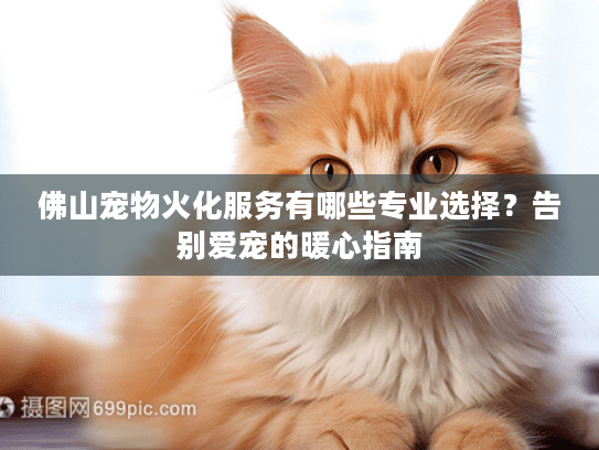 佛山宠物火化服务有哪些专业选择？告别爱宠的暖心指南