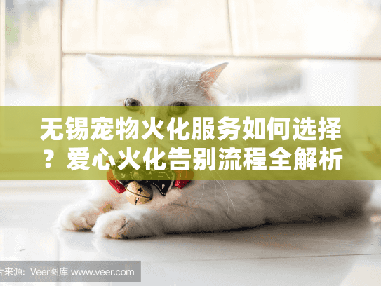 无锡宠物火化服务如何选择？爱心火化告别流程全解析