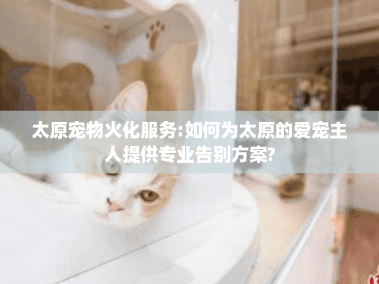 太原宠物火化服务:如何为太原的爱宠主人提供专业告别方案?