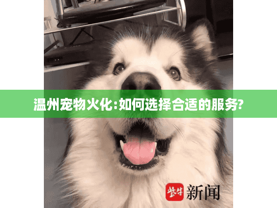 温州宠物火化:如何选择合适的服务?
