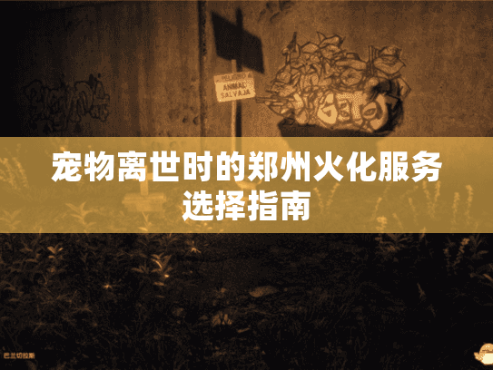 宠物离世时的郑州火化服务选择指南