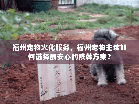 福州宠物火化服务，福州宠物主该如何选择最安心的殡葬方案？