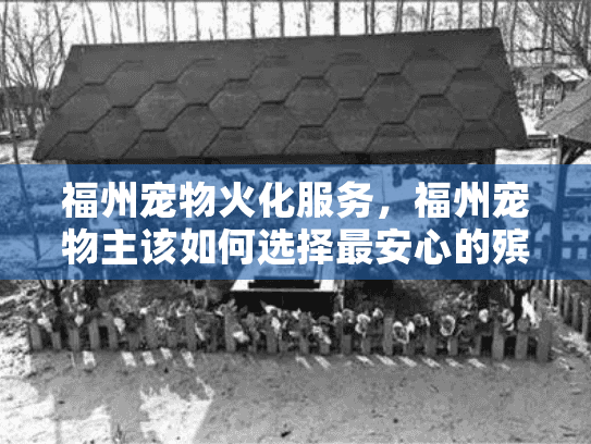 福州宠物火化服务，福州宠物主该如何选择最安心的殡葬方案？