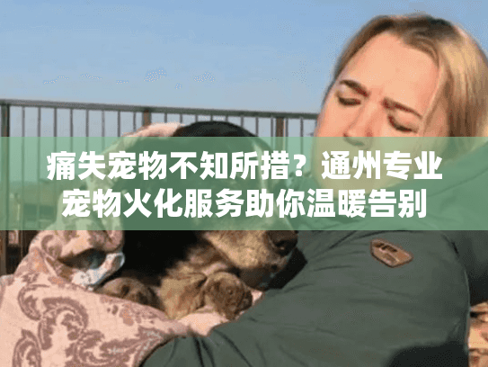 痛失宠物不知所措？通州专业宠物火化服务助你温暖告别