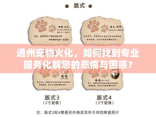 通州宠物火化，如何找到专业服务化解您的悲痛与困惑？