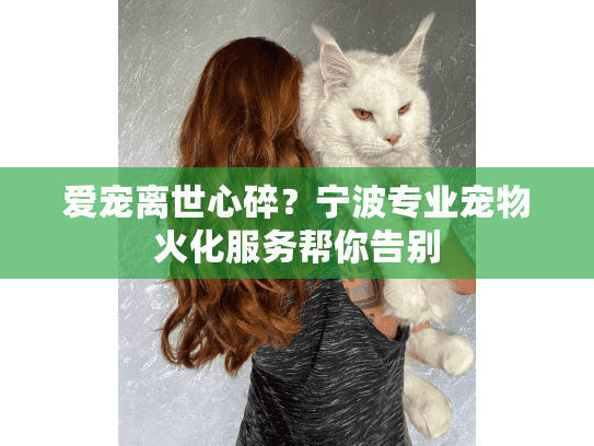 爱宠离世心碎？宁波专业宠物火化服务帮你告别