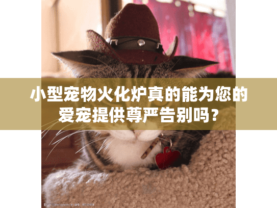 小型宠物火化炉真的能为您的爱宠提供尊严告别吗？