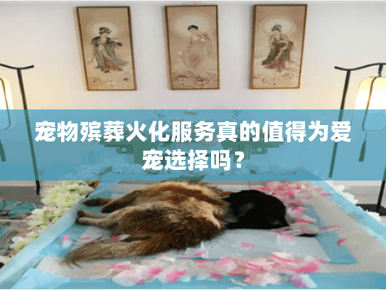 宠物殡葬火化服务真的值得为爱宠选择吗？