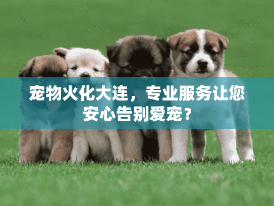 宠物火化大连，专业服务让您安心告别爱宠？