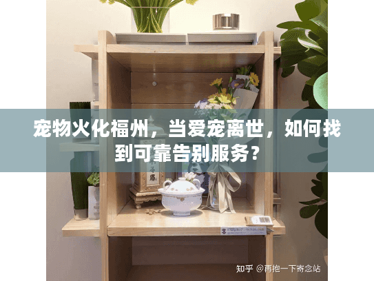 宠物火化福州，当爱宠离世，如何找到可靠告别服务？