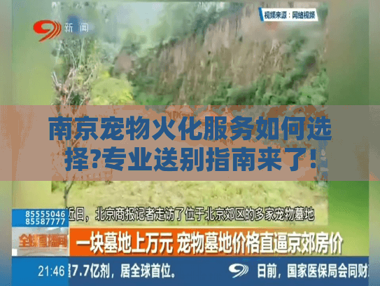 南京宠物火化服务如何选择?专业送别指南来了!