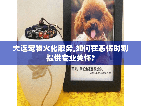 大连宠物火化服务,如何在悲伤时刻提供专业关怀?