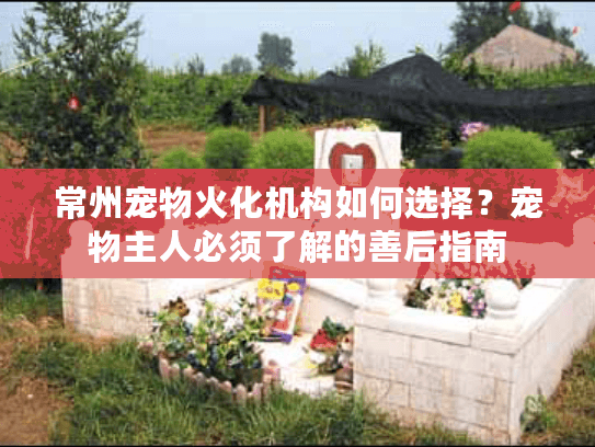 常州宠物火化机构如何选择？宠物主人必须了解的善后指南