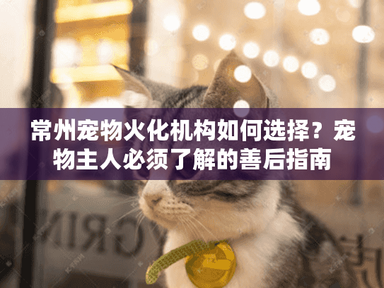 常州宠物火化机构如何选择？宠物主人必须了解的善后指南