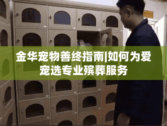 金华宠物善终指南|如何为爱宠选专业殡葬服务