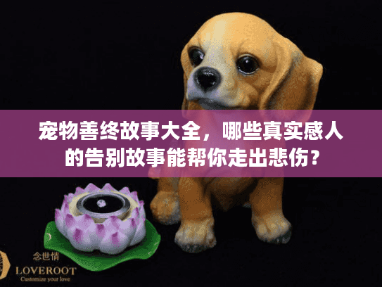 宠物善终故事大全，哪些真实感人的告别故事能帮你走出悲伤？