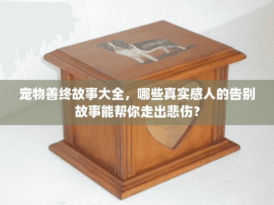 宠物善终故事大全，哪些真实感人的告别故事能帮你走出悲伤？
