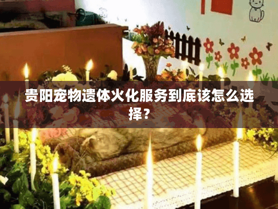 贵阳宠物遗体火化服务到底该怎么选择？