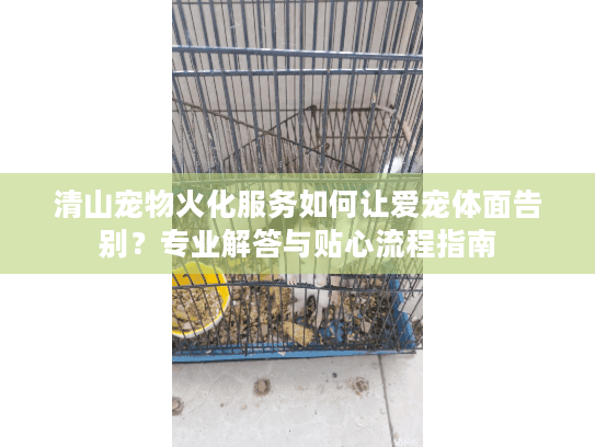 清山宠物火化服务如何让爱宠体面告别？专业解答与贴心流程指南