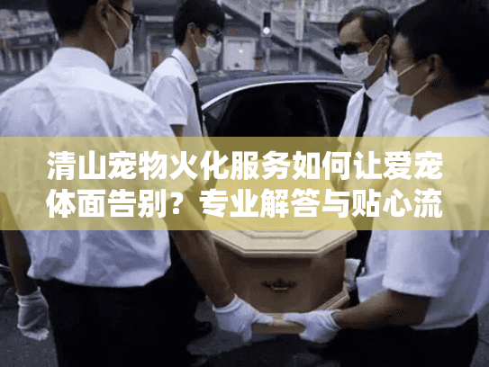 清山宠物火化服务如何让爱宠体面告别？专业解答与贴心流程指南