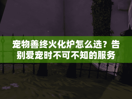 宠物善终火化炉怎么选？告别爱宠时不可不知的服务细节