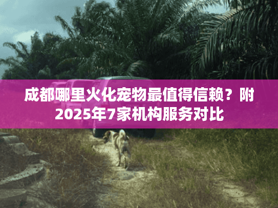 成都哪里火化宠物最值得信赖？附2025年7家机构服务对比