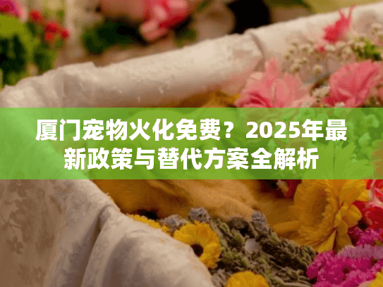 厦门宠物火化免费？2025年最新政策与替代方案全解析