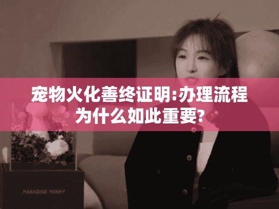 宠物火化善终证明:办理流程为什么如此重要?