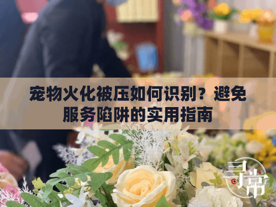 宠物火化被压如何识别？避免服务陷阱的实用指南