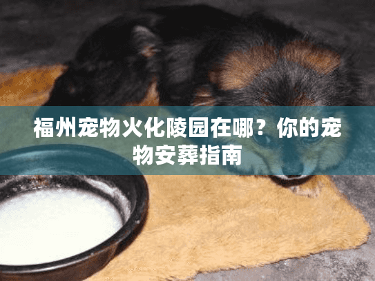 福州宠物火化陵园在哪？你的宠物安葬指南
