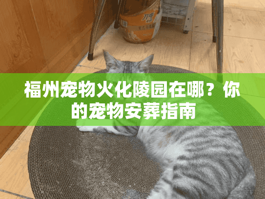 福州宠物火化陵园在哪？你的宠物安葬指南