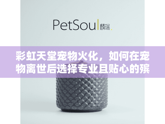 彩虹天堂宠物火化，如何在宠物离世后选择专业且贴心的殡葬服务？