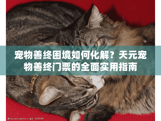 宠物善终困境如何化解？天元宠物善终门票的全面实用指南