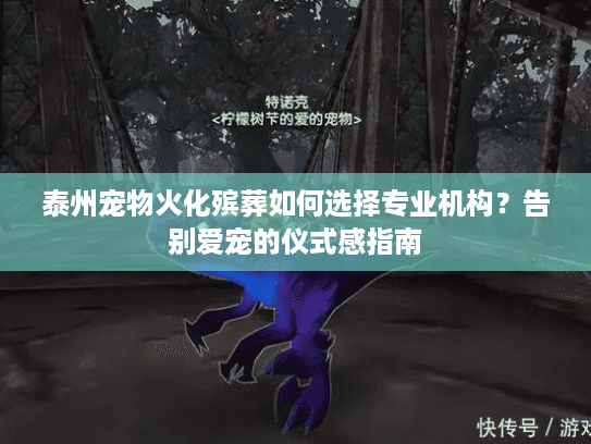泰州宠物火化殡葬如何选择专业机构？告别爱宠的仪式感指南