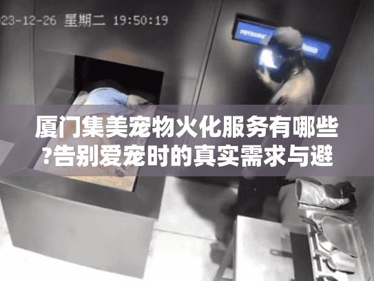 厦门集美宠物火化服务有哪些?告别爱宠时的真实需求与避坑指南