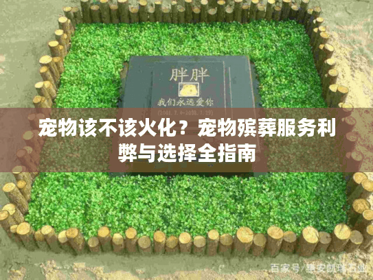 宠物该不该火化？宠物殡葬服务利弊与选择全指南