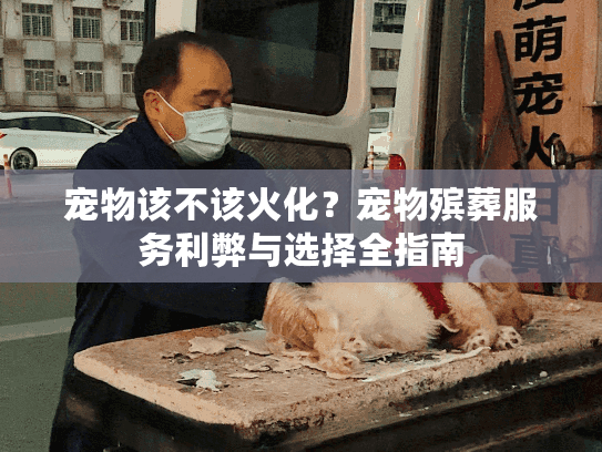 宠物该不该火化？宠物殡葬服务利弊与选择全指南